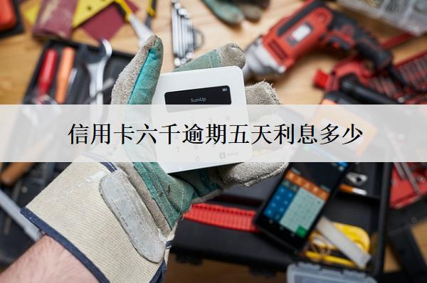 信用卡六千逾期五天利息多少？逾期利息計(jì)算方式解析