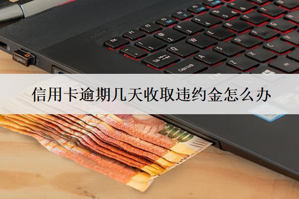 信用卡逾期幾天收取違約金怎么辦？