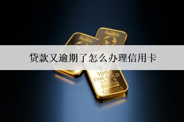 貸款又逾期了怎么辦理信用卡？被拒怎么辦？