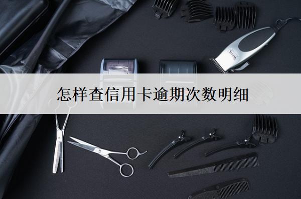 怎樣查信用卡逾期次數(shù)明細？查詢方式分享