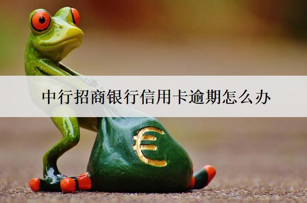 中行招商銀行信用卡逾期怎么辦？會(huì)怎么樣？
