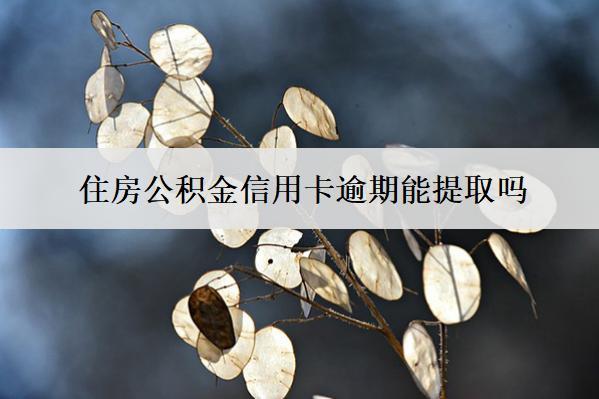 住房公積金信用卡逾期能提取嗎？