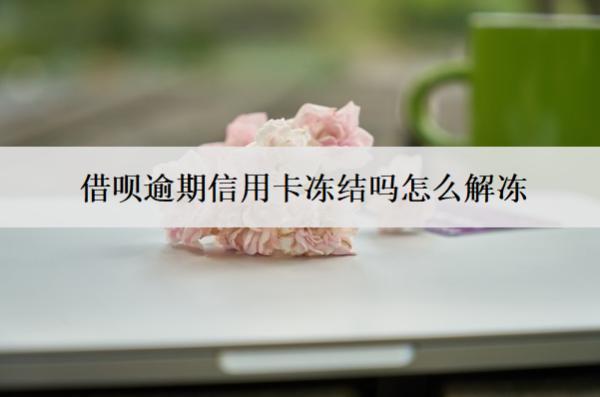 借唄逾期信用卡凍結(jié)嗎怎么解凍？