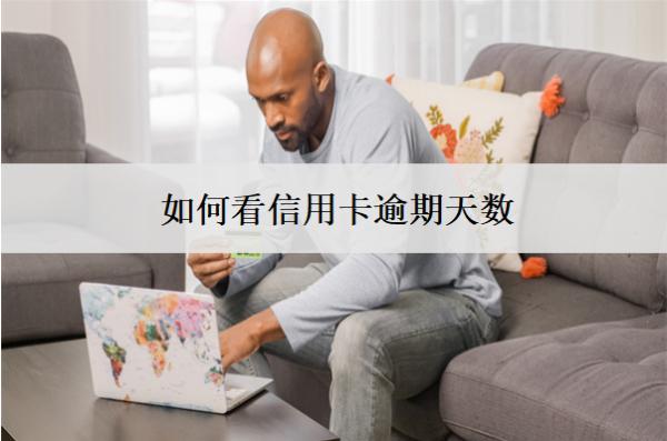 如何看信用卡逾期天數(shù)？查看渠道分享