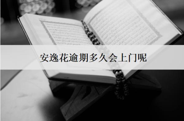 安逸花逾期多久會上門呢？上門怎么辦？