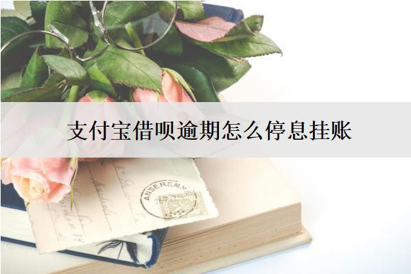 支付寶借唄逾期怎么停息掛賬？