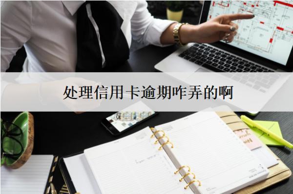 處理信用卡逾期咋弄的?。?>
                                        </a>



                                    </div>
                                    <div   id=