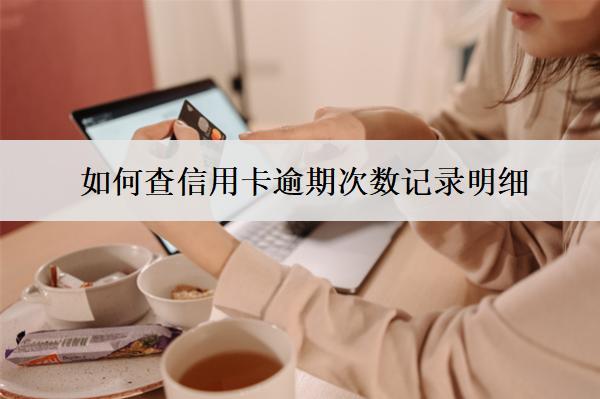 如何查信用卡逾期次數(shù)記錄明細？6種查詢渠道