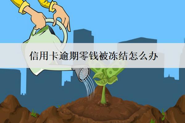 信用卡逾期零錢被凍結(jié)怎么辦？3個解決建議