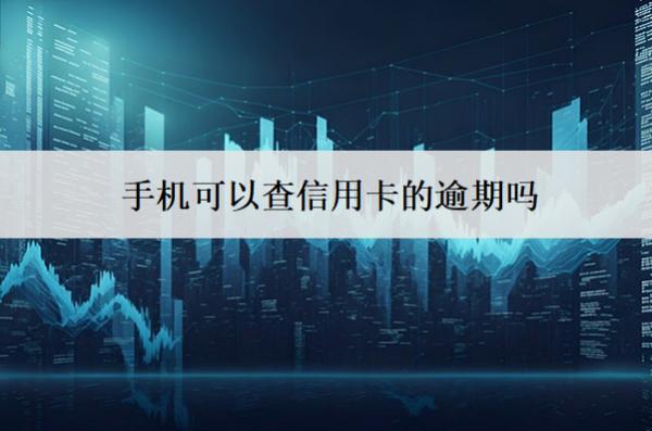 手機可以查信用卡的逾期嗎