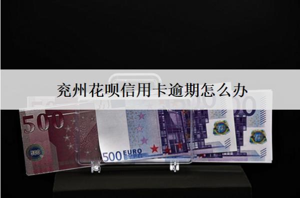 兗州花唄信用卡逾期怎么辦