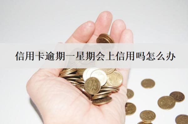 信用卡逾期一星期會上信用嗎怎么辦？