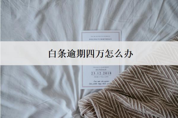 白條逾期四萬怎么辦？按這個(gè)步驟辦