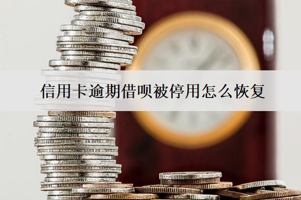 信用卡逾期借唄被停用怎么恢復(fù)？