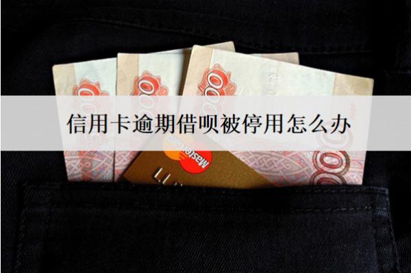 信用卡逾期借唄被停用怎么辦？