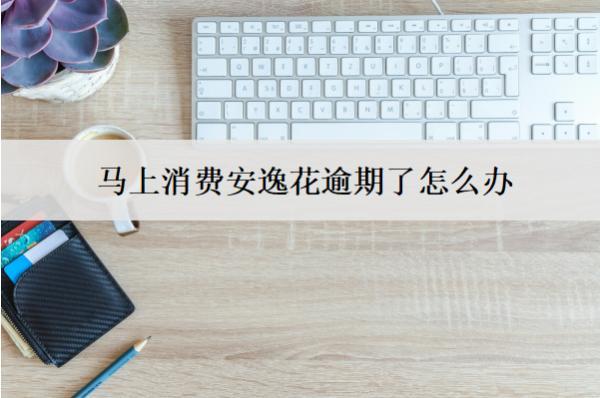 馬上消費安逸花逾期了怎么辦？會怎么樣？