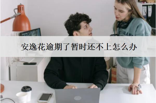 安逸花逾期了暫時還不上怎么辦？