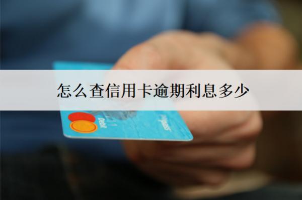 怎么查信用卡逾期利息多少？5個查詢渠道