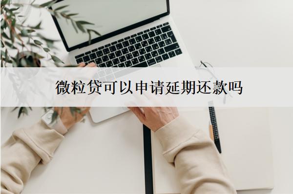 微粒貸可以申請(qǐng)延期還款嗎？失敗怎么辦？