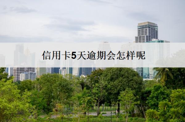 信用卡5天逾期會(huì)怎樣呢？怎么辦？
