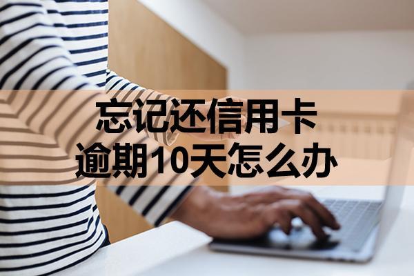 忘記還信用卡逾期10天怎么辦？記住這幾點
