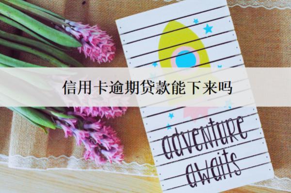 信用卡逾期貸款能下來(lái)嗎？貸款不了怎么辦？
