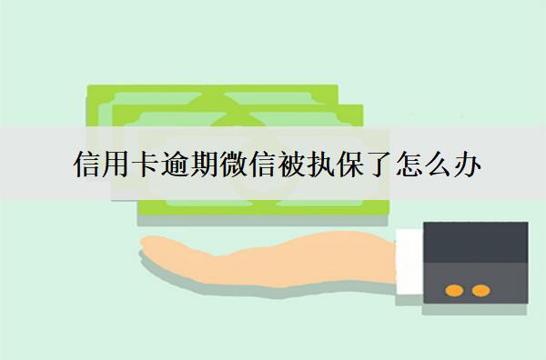信用卡逾期微信被執(zhí)保了怎么辦？
