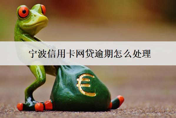 寧波信用卡網(wǎng)貸逾期怎么處理？