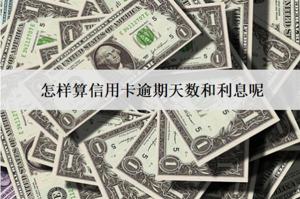 怎樣算信用卡逾期天數(shù)和利息呢？