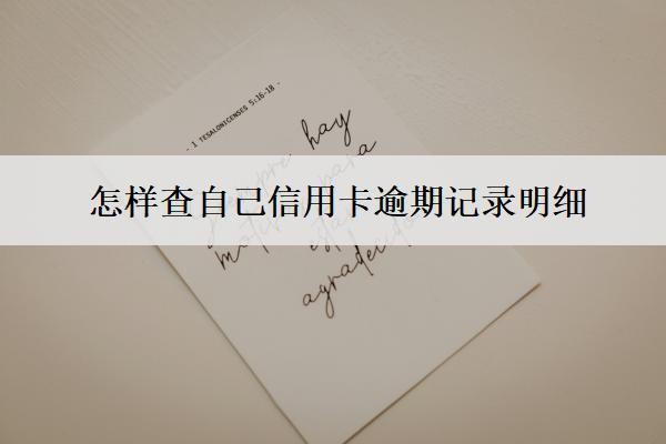 怎樣查自己信用卡逾期記錄明細(xì)？