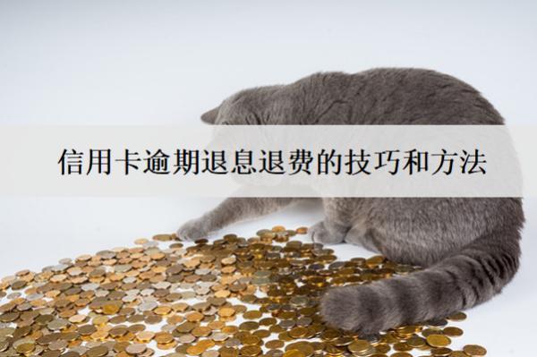信用卡逾期退息退費的技巧和方法