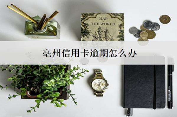 亳州信用卡逾期怎么辦