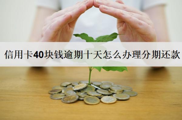 信用卡40塊錢逾期十天怎么辦理分期還款？