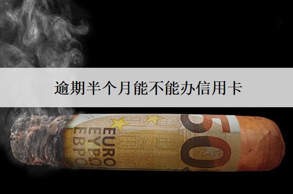 逾期半個月能不能辦信用卡