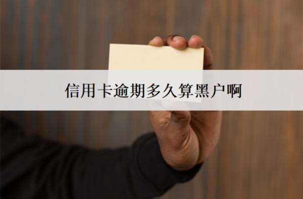 信用卡逾期多久算黑戶啊？多久恢復(fù)信譽(yù)？