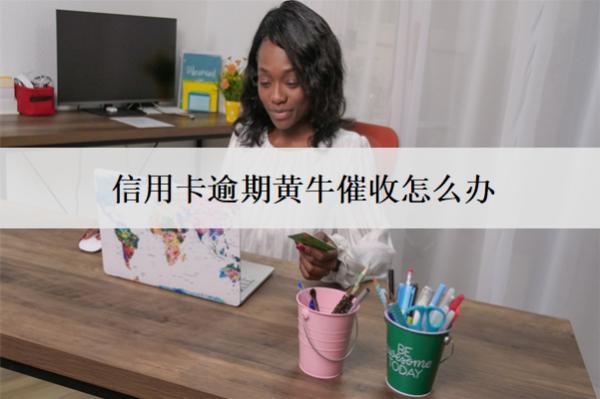 信用卡逾期黃牛催收怎么辦？解決辦法分析