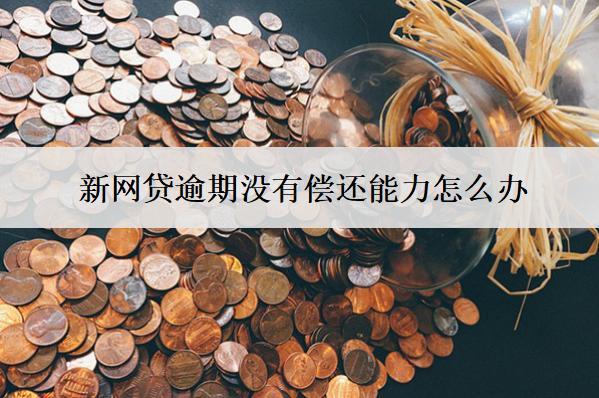 新網(wǎng)貸逾期沒(méi)有償還能力怎么辦？會(huì)導(dǎo)致什么結(jié)果？