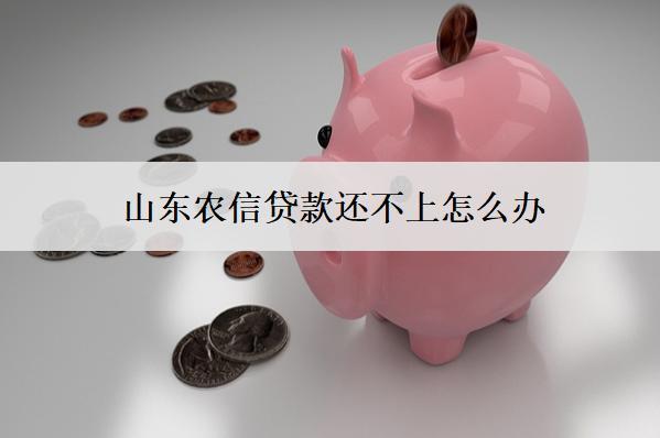 山東農(nóng)信貸款還不上怎么辦？