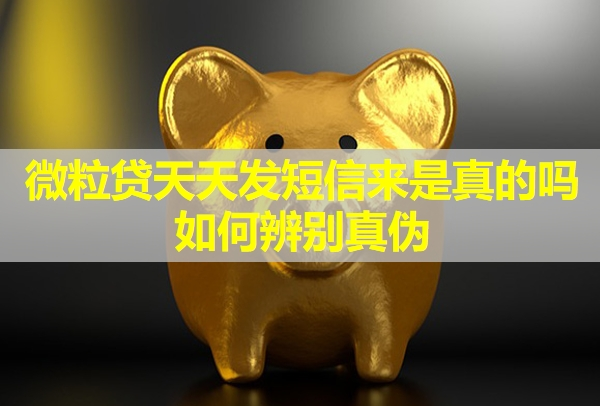 微粒貸天天發(fā)短信來是真的嗎?如何辨別真?zhèn)危?>
</a>
</div>
<div id=