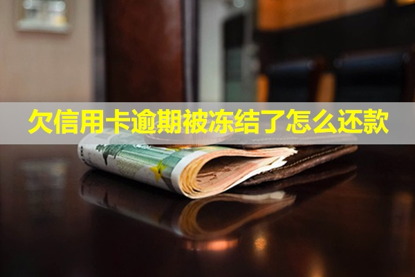 欠信用卡逾期被凍結(jié)了怎么還款？?jī)鼋Y(jié)了怎么解凍？