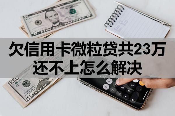 欠信用卡微粒貸共23萬(wàn)
