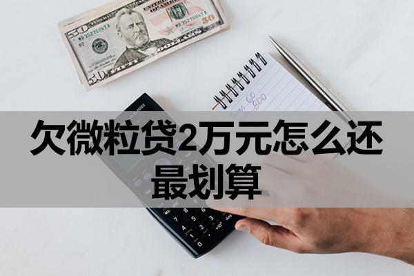 欠微粒貸2萬元怎么還最劃算？還不起怎么辦？