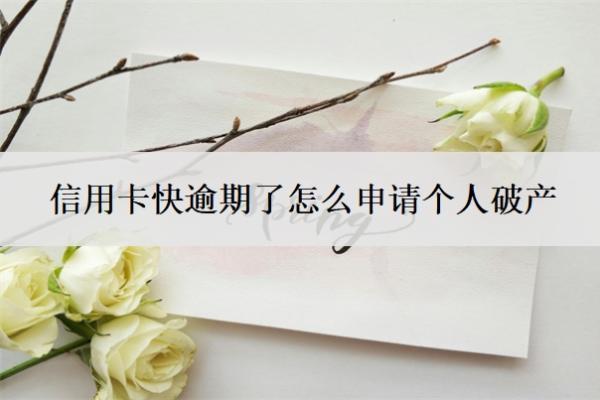 信用卡快逾期了怎么申請(qǐng)個(gè)人破產(chǎn)？負(fù)債30萬(wàn)無(wú)力償還怎么辦？