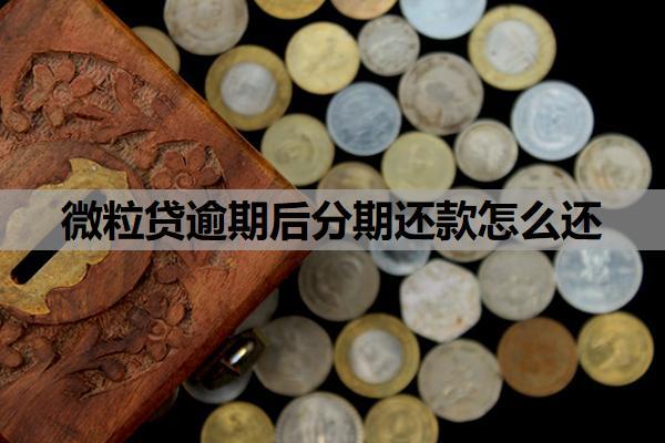 微粒貸逾期后分期還款怎么還？還款后額度沒(méi)恢復(fù)是為什么？