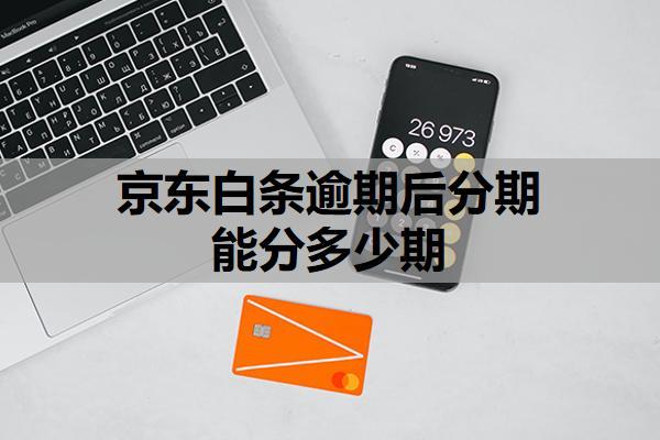 京東白條逾期后分期能分多少期