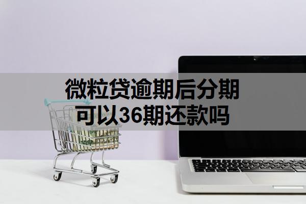 微粒貸逾期后分期可以36期還款嗎？分期政策及實操性