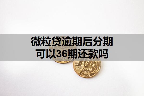 微粒貸逾期后分期可以36期還款嗎