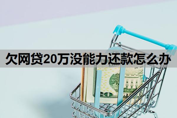 欠網(wǎng)貸20萬(wàn)沒(méi)能力還款怎么辦