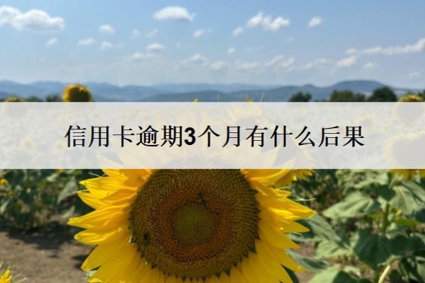 信用卡逾期3個(gè)月有什么后果？四大銀行逾期可以協(xié)商還款嗎？