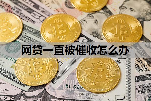 網貸一直被催收怎么辦